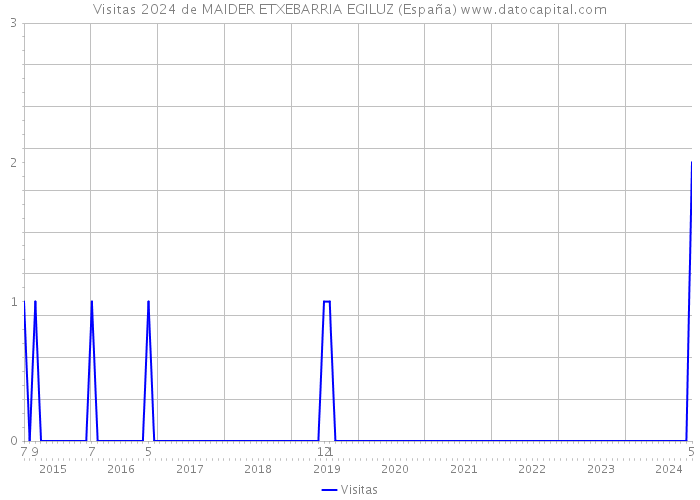 Visitas 2024 de MAIDER ETXEBARRIA EGILUZ (España) 