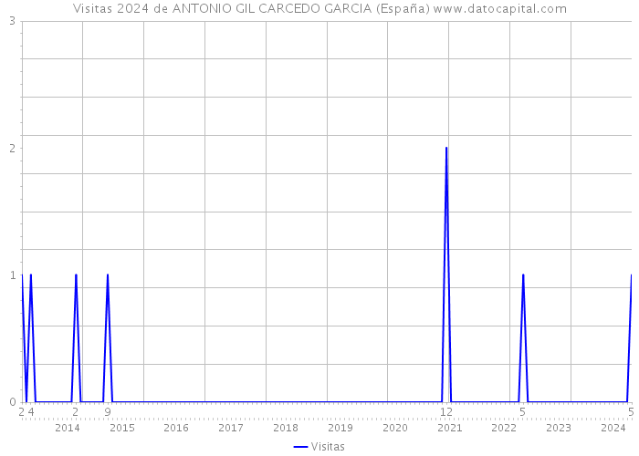 Visitas 2024 de ANTONIO GIL CARCEDO GARCIA (España) 