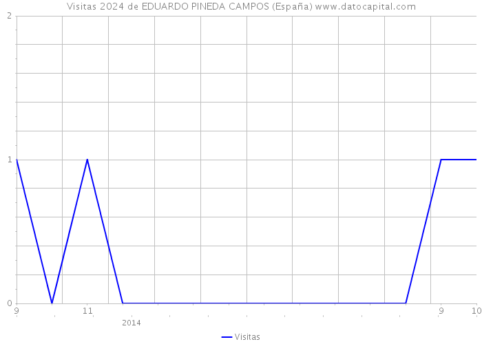 Visitas 2024 de EDUARDO PINEDA CAMPOS (España) 
