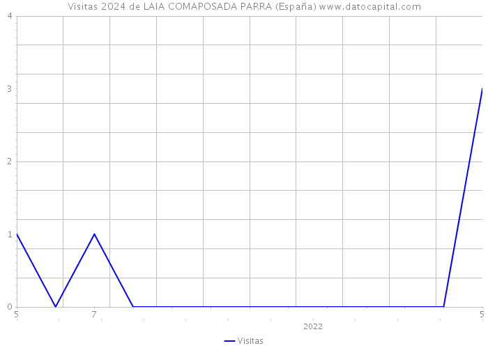 Visitas 2024 de LAIA COMAPOSADA PARRA (España) 