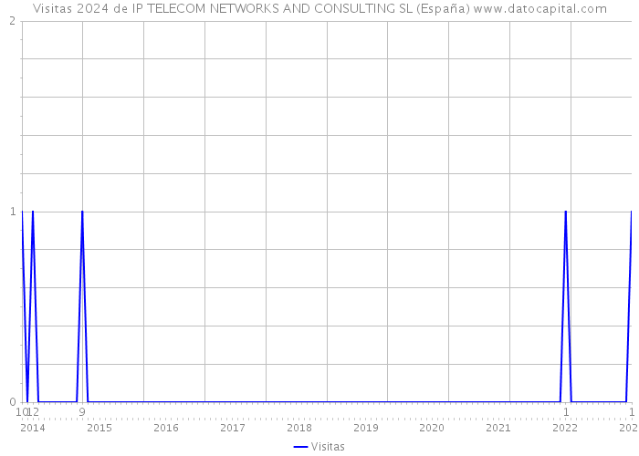 Visitas 2024 de IP TELECOM NETWORKS AND CONSULTING SL (España) 
