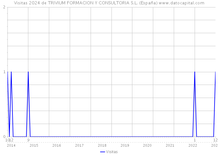 Visitas 2024 de TRIVIUM FORMACION Y CONSULTORIA S.L. (España) 