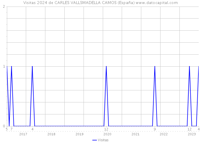 Visitas 2024 de CARLES VALLSMADELLA CAMOS (España) 