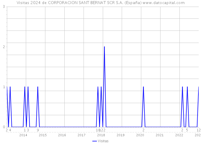 Visitas 2024 de CORPORACION SANT BERNAT SCR S.A. (España) 