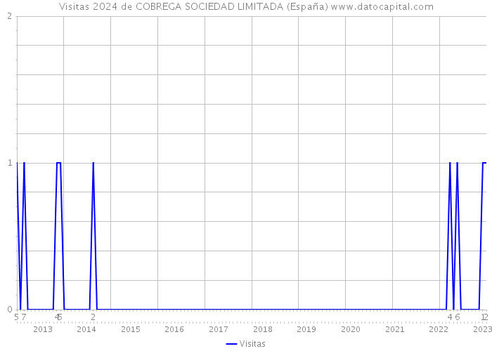 Visitas 2024 de COBREGA SOCIEDAD LIMITADA (España) 