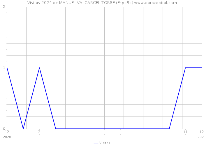 Visitas 2024 de MANUEL VALCARCEL TORRE (España) 