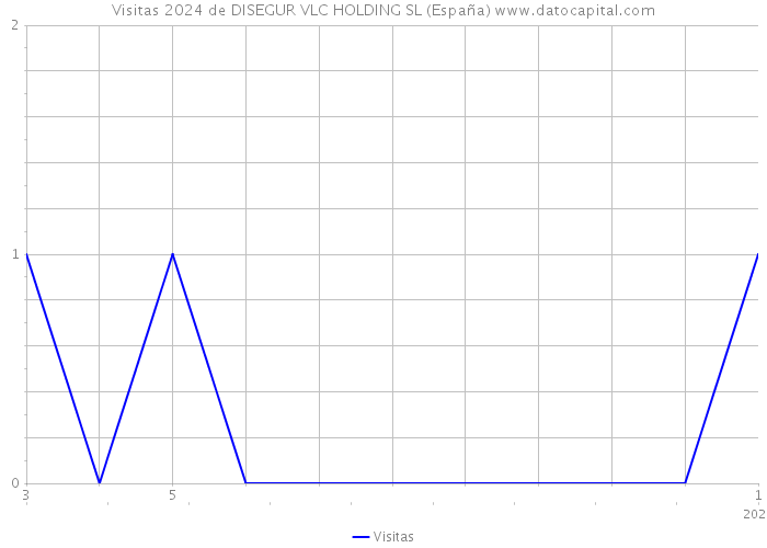 Visitas 2024 de DISEGUR VLC HOLDING SL (España) 
