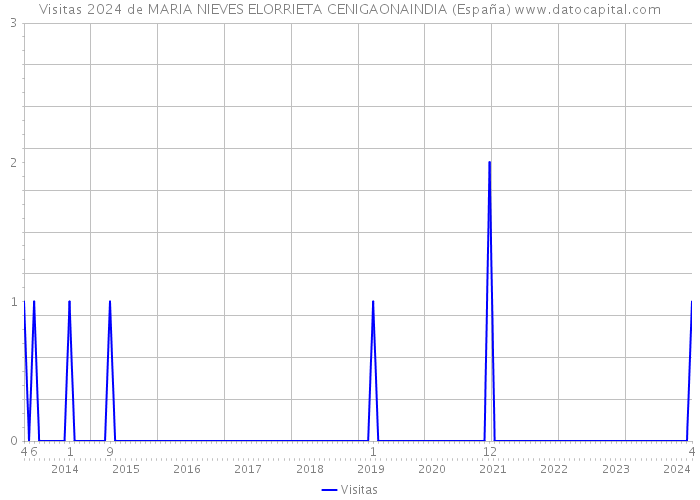 Visitas 2024 de MARIA NIEVES ELORRIETA CENIGAONAINDIA (España) 
