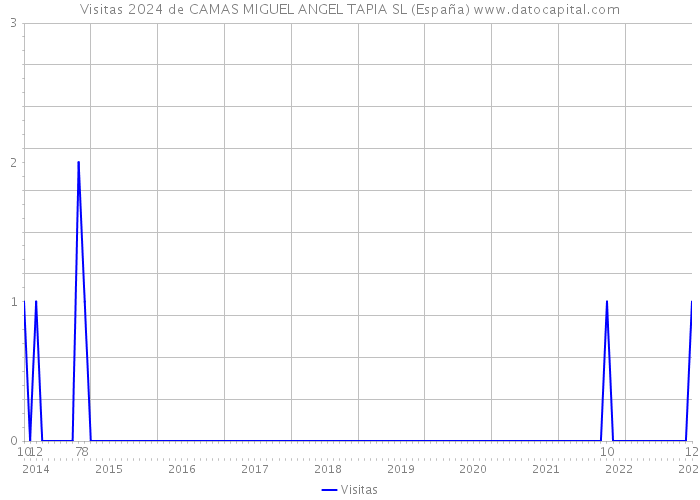 Visitas 2024 de CAMAS MIGUEL ANGEL TAPIA SL (España) 