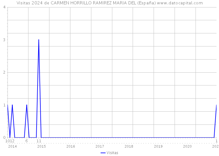 Visitas 2024 de CARMEN HORRILLO RAMIREZ MARIA DEL (España) 
