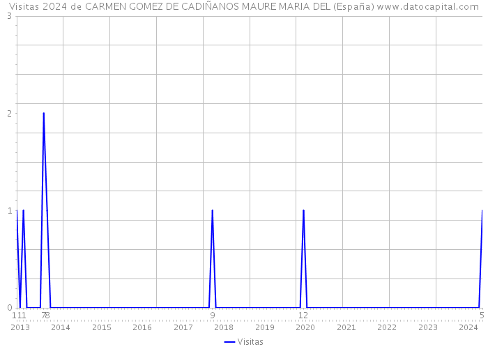 Visitas 2024 de CARMEN GOMEZ DE CADIÑANOS MAURE MARIA DEL (España) 