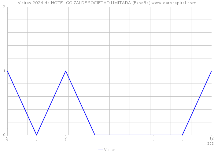 Visitas 2024 de HOTEL GOIZALDE SOCIEDAD LIMITADA (España) 