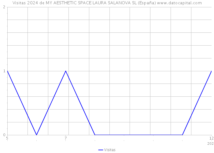 Visitas 2024 de MY AESTHETIC SPACE LAURA SALANOVA SL (España) 