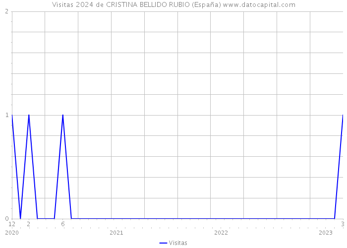 Visitas 2024 de CRISTINA BELLIDO RUBIO (España) 