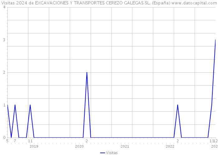 Visitas 2024 de EXCAVACIONES Y TRANSPORTES CEREZO GALEGAS SL. (España) 