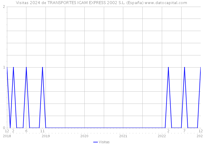 Visitas 2024 de TRANSPORTES IGAM EXPRESS 2002 S.L. (España) 