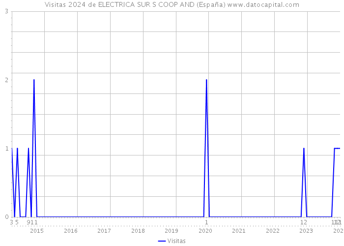 Visitas 2024 de ELECTRICA SUR S COOP AND (España) 