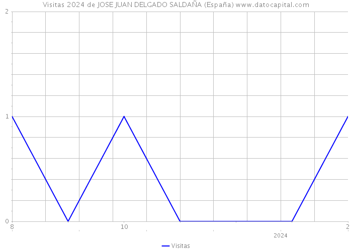 Visitas 2024 de JOSE JUAN DELGADO SALDAÑA (España) 