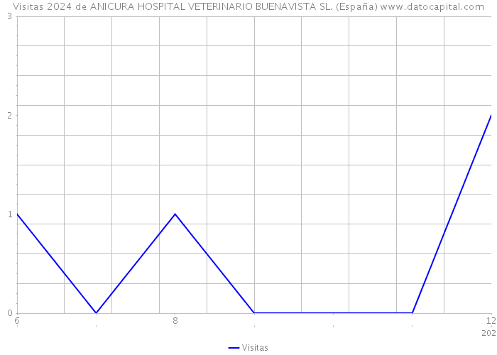 Visitas 2024 de ANICURA HOSPITAL VETERINARIO BUENAVISTA SL. (España) 