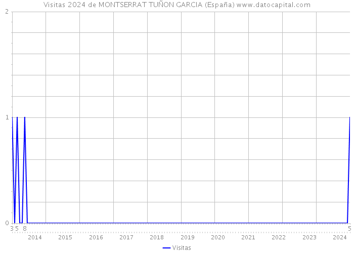 Visitas 2024 de MONTSERRAT TUÑON GARCIA (España) 