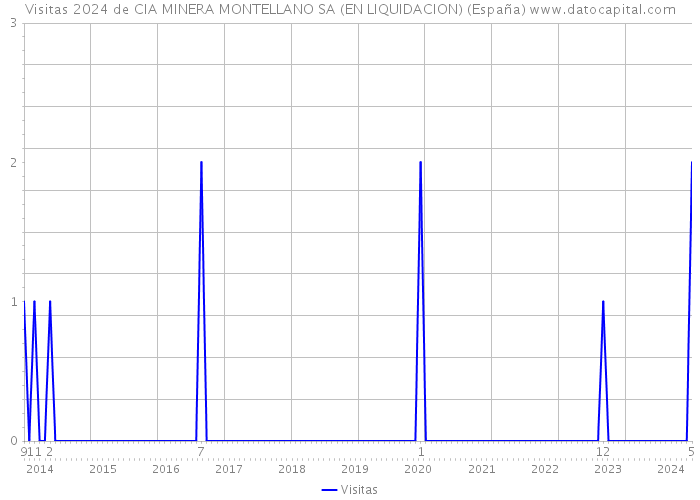 Visitas 2024 de CIA MINERA MONTELLANO SA (EN LIQUIDACION) (España) 