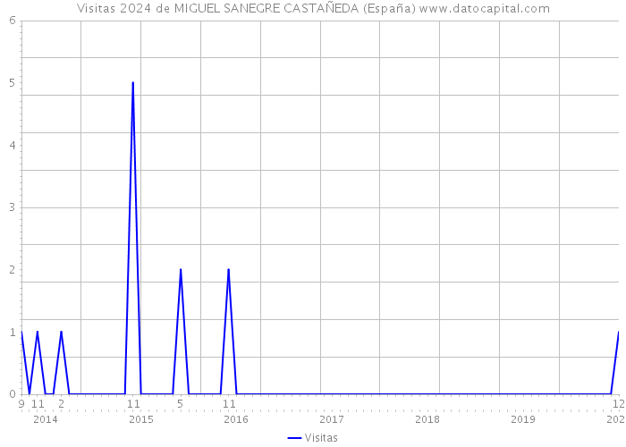 Visitas 2024 de MIGUEL SANEGRE CASTAÑEDA (España) 