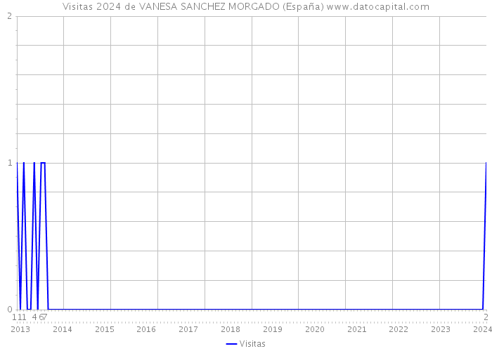 Visitas 2024 de VANESA SANCHEZ MORGADO (España) 