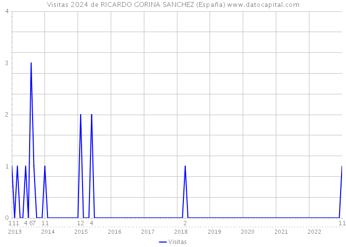 Visitas 2024 de RICARDO GORINA SANCHEZ (España) 