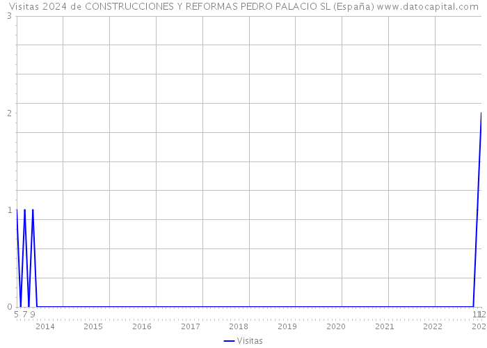 Visitas 2024 de CONSTRUCCIONES Y REFORMAS PEDRO PALACIO SL (España) 
