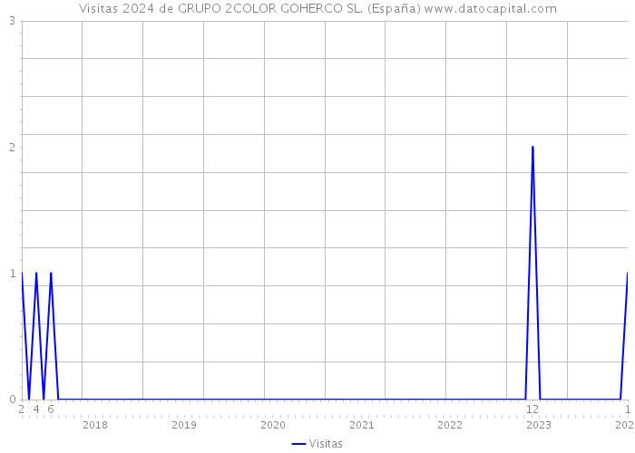 Visitas 2024 de GRUPO 2COLOR GOHERCO SL. (España) 