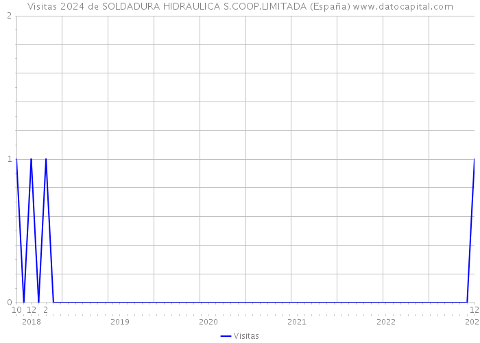 Visitas 2024 de SOLDADURA HIDRAULICA S.COOP.LIMITADA (España) 