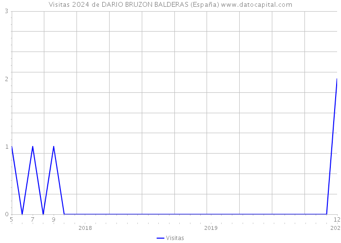 Visitas 2024 de DARIO BRUZON BALDERAS (España) 