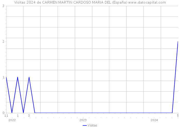 Visitas 2024 de CARMEN MARTIN CARDOSO MARIA DEL (España) 
