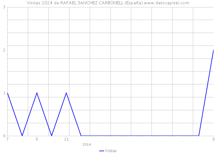Visitas 2024 de RAFAEL SANCHEZ CARBONELL (España) 