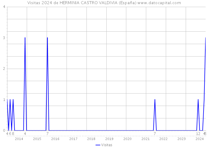 Visitas 2024 de HERMINIA CASTRO VALDIVIA (España) 
