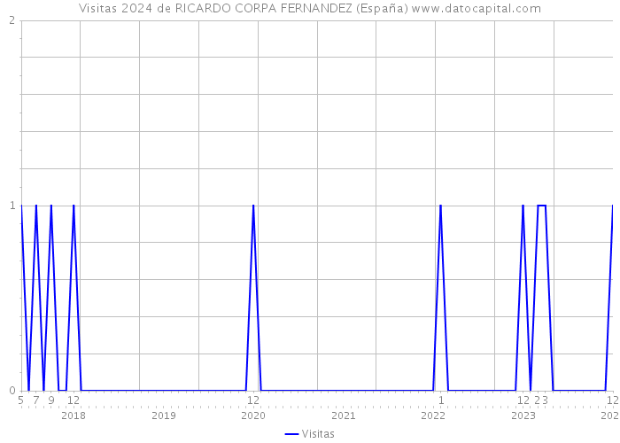 Visitas 2024 de RICARDO CORPA FERNANDEZ (España) 