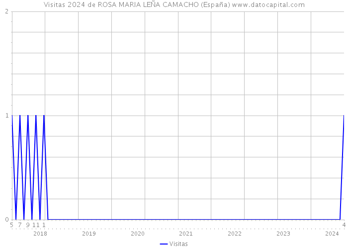 Visitas 2024 de ROSA MARIA LEÑA CAMACHO (España) 