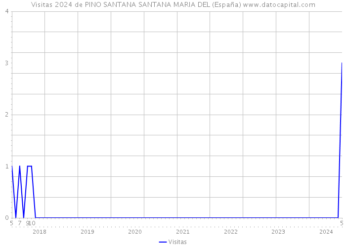 Visitas 2024 de PINO SANTANA SANTANA MARIA DEL (España) 