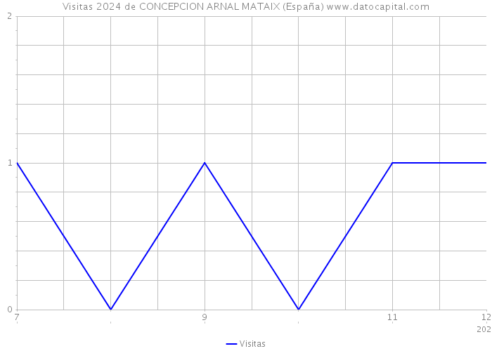 Visitas 2024 de CONCEPCION ARNAL MATAIX (España) 