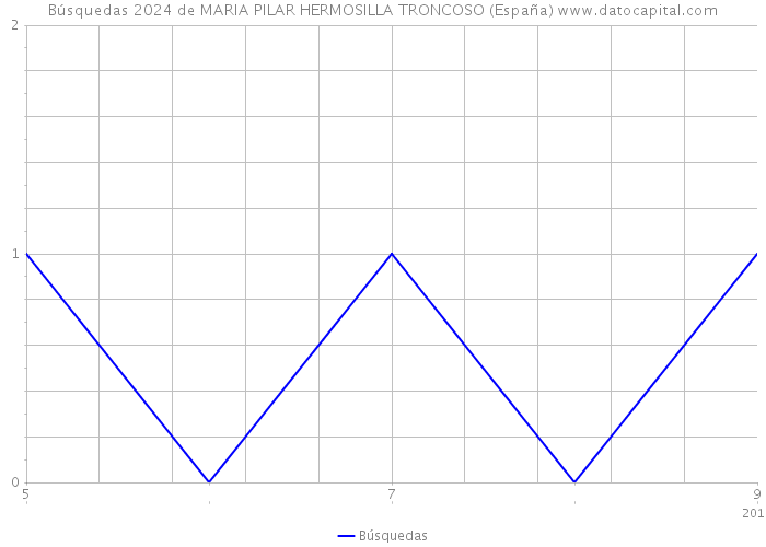 Búsquedas 2024 de MARIA PILAR HERMOSILLA TRONCOSO (España) 