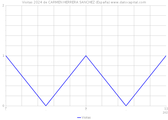 Visitas 2024 de CARMEN HERRERA SANCHEZ (España) 