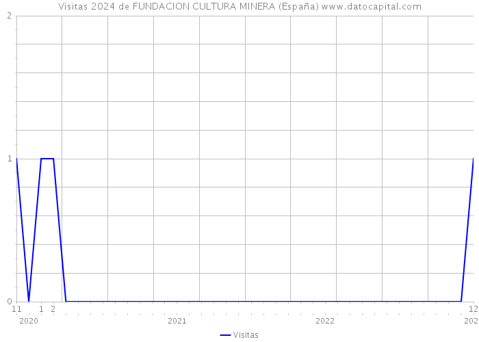 Visitas 2024 de FUNDACION CULTURA MINERA (España) 