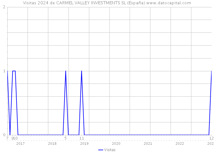 Visitas 2024 de CARMEL VALLEY INVESTMENTS SL (España) 