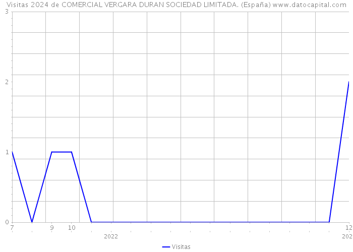 Visitas 2024 de COMERCIAL VERGARA DURAN SOCIEDAD LIMITADA. (España) 