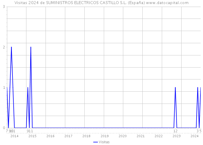 Visitas 2024 de SUMINISTROS ELECTRICOS CASTILLO S.L. (España) 