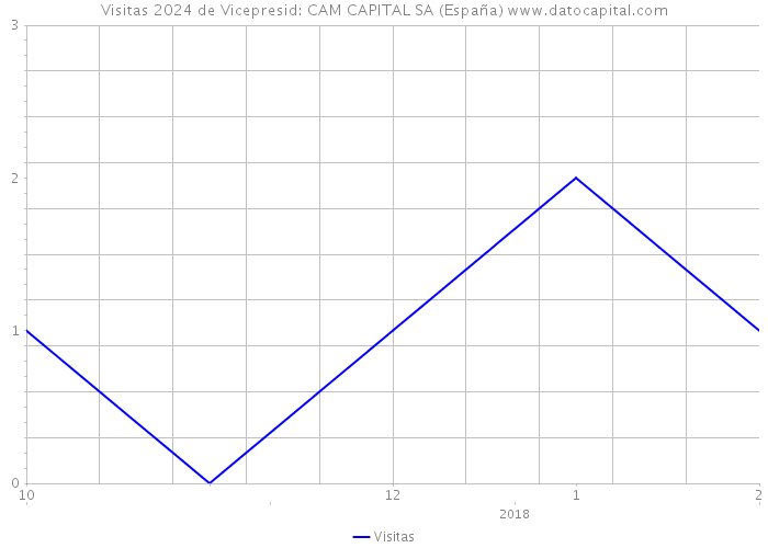 Visitas 2024 de Vicepresid: CAM CAPITAL SA (España) 