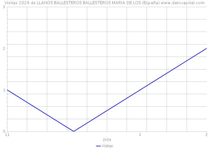 Visitas 2024 de LLANOS BALLESTEROS BALLESTEROS MARIA DE LOS (España) 