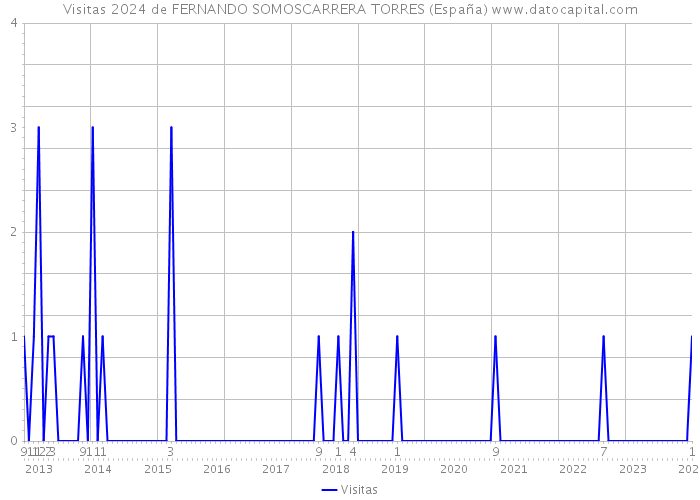 Visitas 2024 de FERNANDO SOMOSCARRERA TORRES (España) 