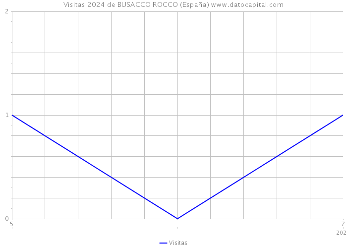 Visitas 2024 de BUSACCO ROCCO (España) 