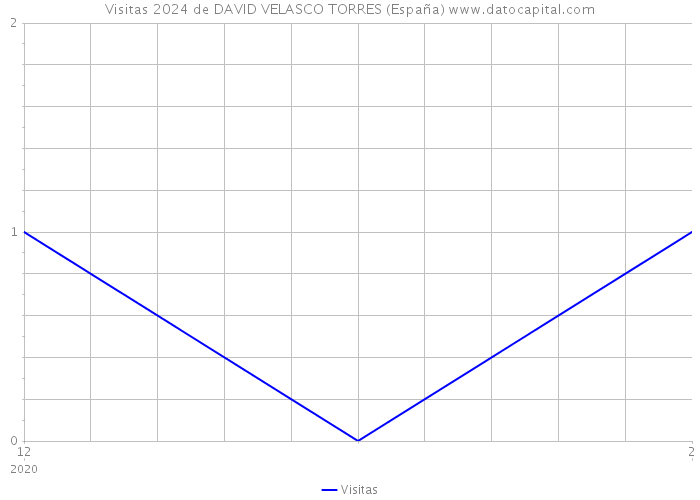 Visitas 2024 de DAVID VELASCO TORRES (España) 
